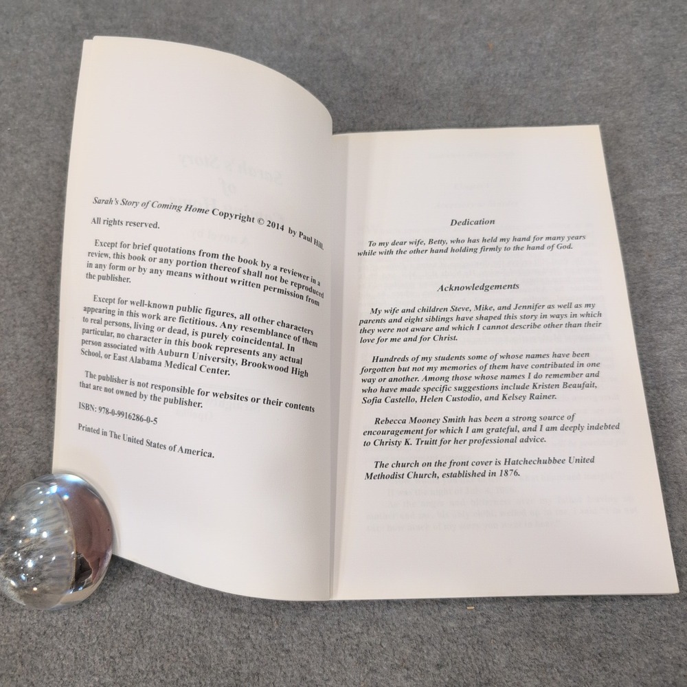 Sarah's Story of Coming Home by Paul Hill Paperback Novel 2014 Christian Fiction - Picture 3 of 4